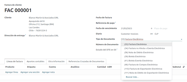 Customer invoice document type selection.